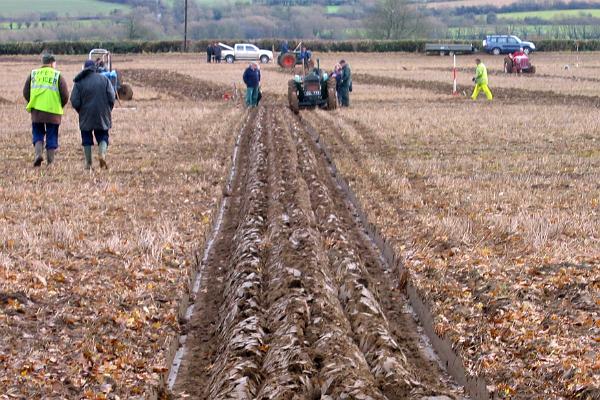 Ploughing 3.jpg